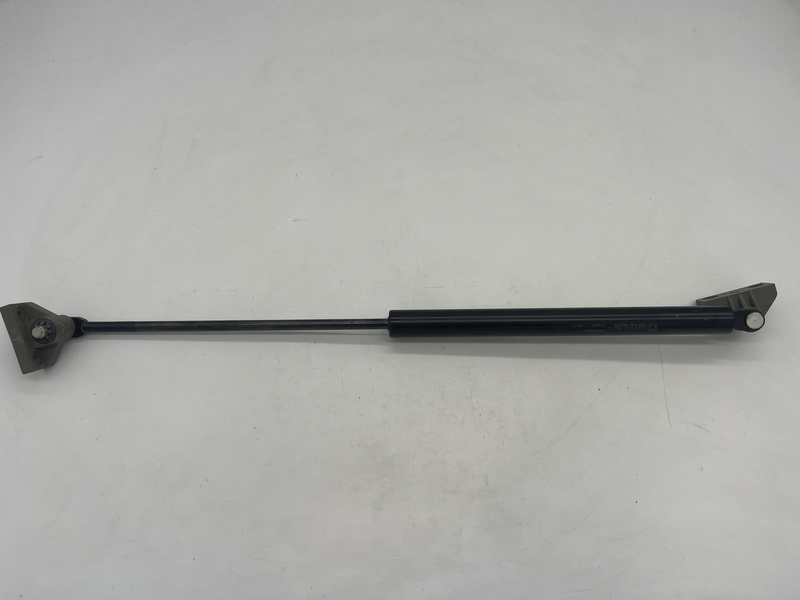 Pistone molla gas  f1:250n 500588585a0