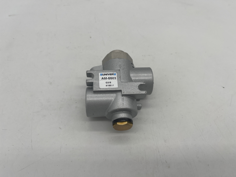 Valvola pneumatica Am-5503