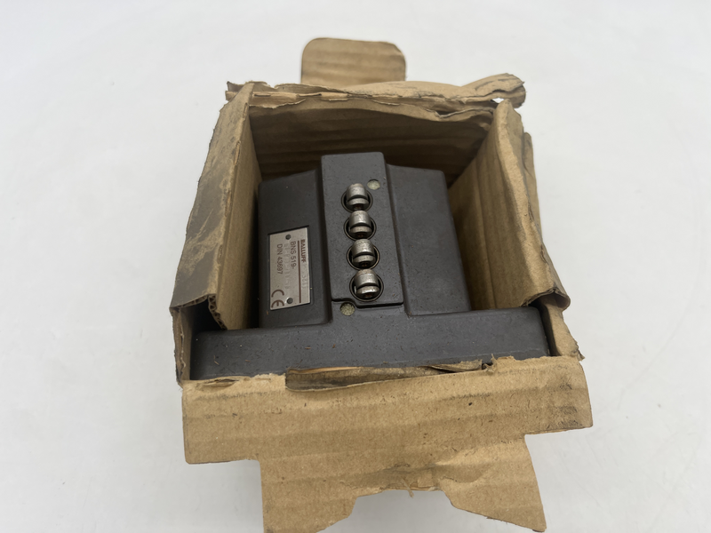 Multiple Limit switch Bns 519-d04-r12-100-10
