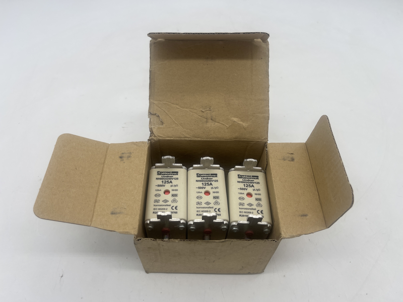 Fusibili 125a 500v confezione da 3 pezzi Nh00gg50v125